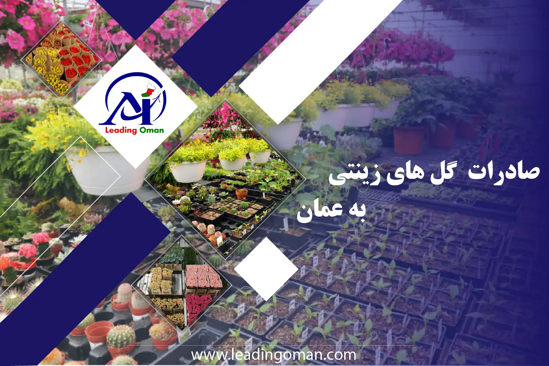 صادرات گل و گیاه به عمان