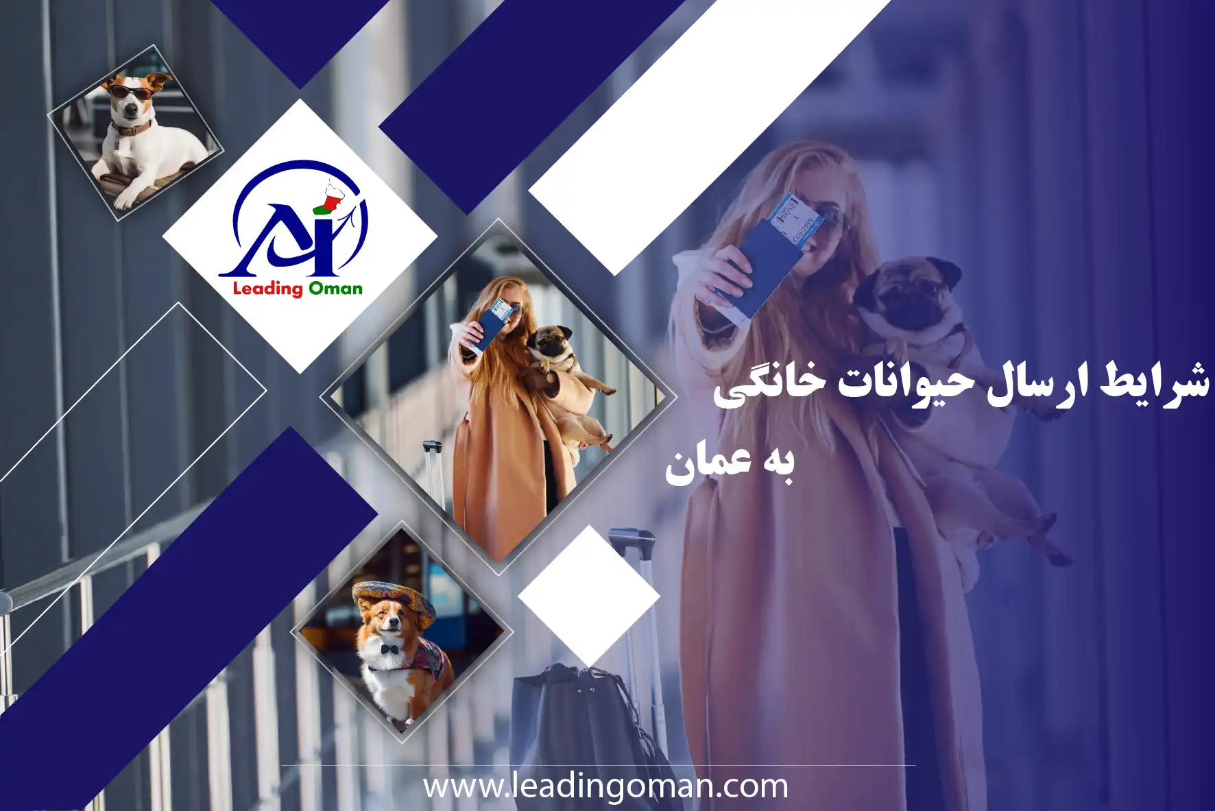 ارسال حیوانات خانگی به عمان