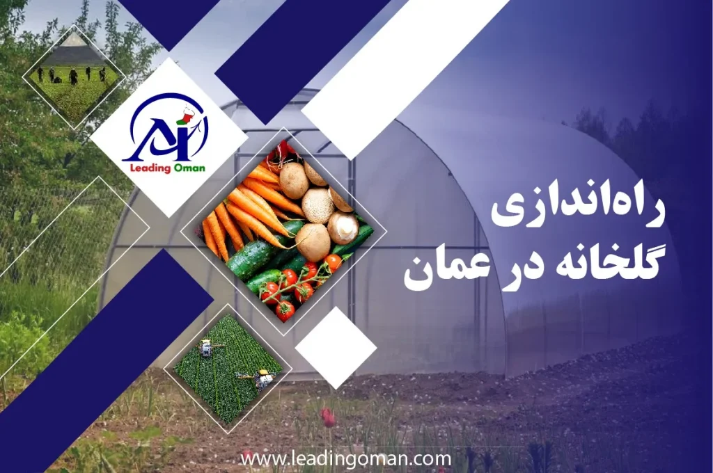راه‌اندازی گلخانه در عمان